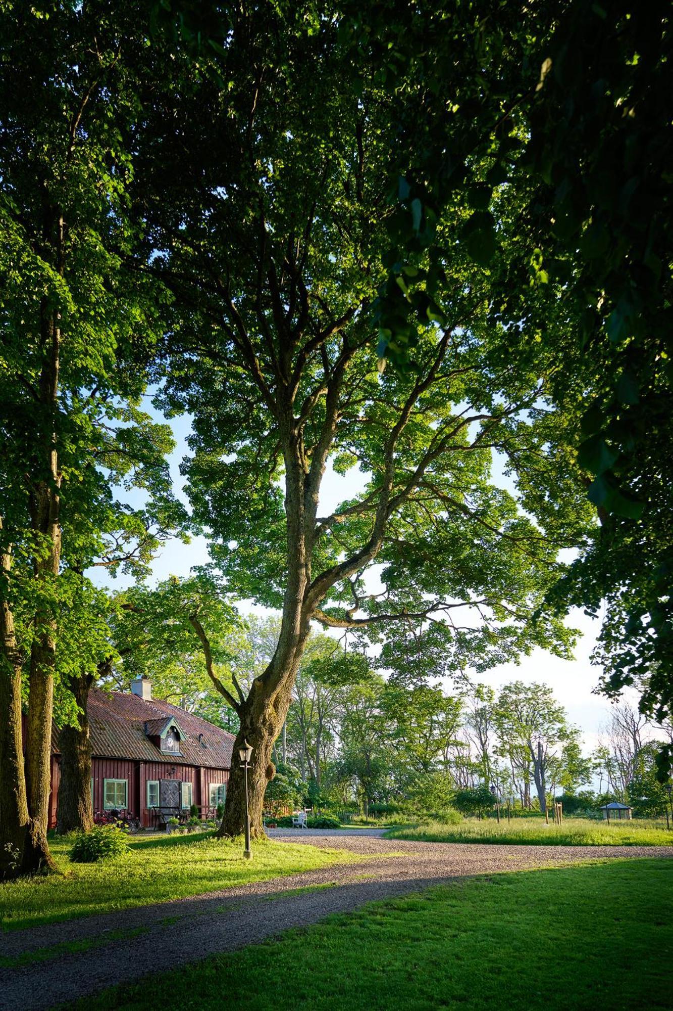 Kungs Starby Gard Bed And Breakfast Vadstena Exterior foto